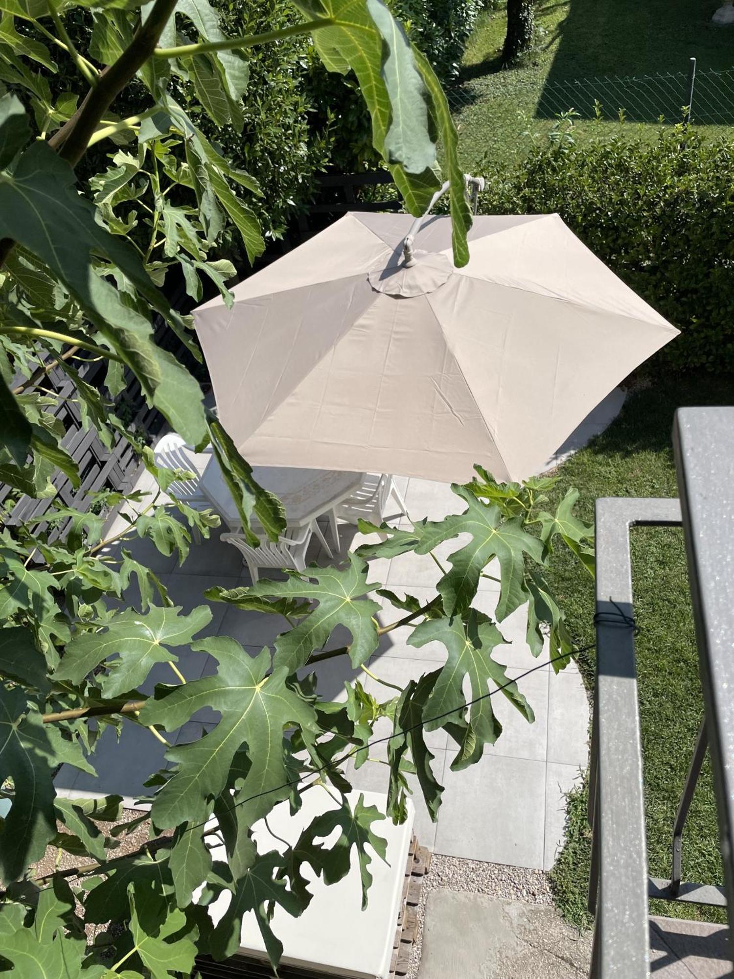 Casa Sivori Sul Lago Di Garda Con Ampio Giardino Desenzano del Garda Eksteriør bilde